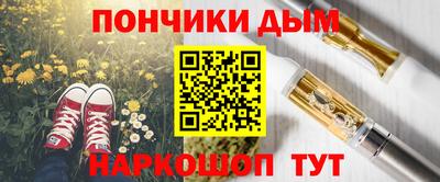 гашик Кингисепп