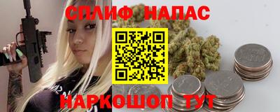 гашик Кингисепп