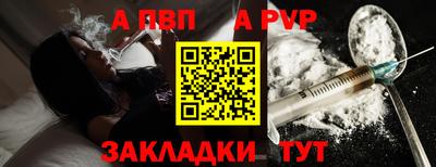 гашик Кингисепп
