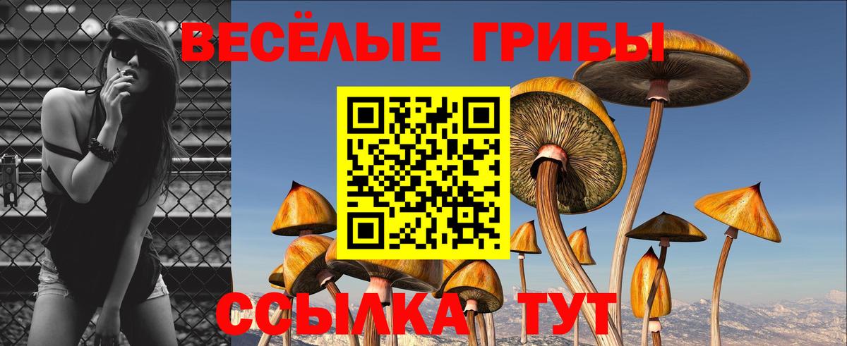 Елизово  Галлюциногенные грибы Psilocybine cubensis  Вход с VPN 