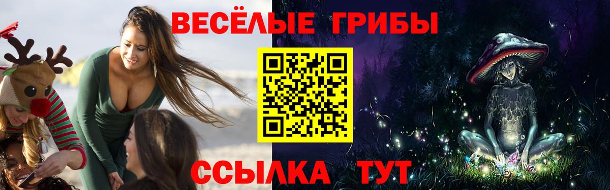 Псилоцибиновые грибы MAGIC MUSHROOMS Елизово