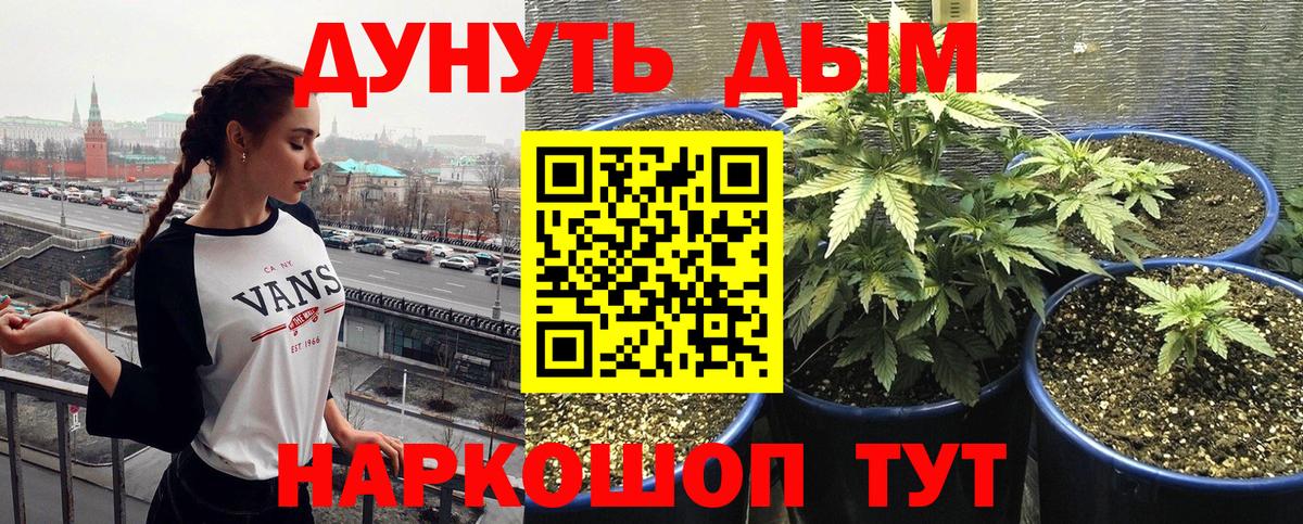 Канабис сатива Елизово